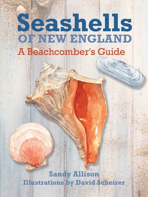 Title details for Seashells of New England by David Scheirer - Available